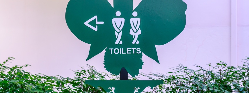 de evolutie van de toiletruimte