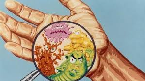 zo-snel-gaan-bacteriën-van-het-toilet-naar-je-mond